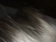 Thot loves my nut 
