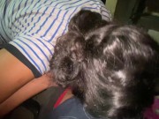 Nunca logramos ver la pelicula si estamos solos | Submissiveadventures 9/16