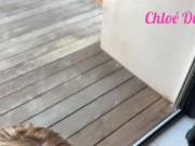 Fellation faciale on vous partage ce paysage -AMATEUR- Chloé Duval  13/16