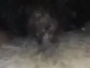 Hay sabi wag iputok sa loob eh... 6/16