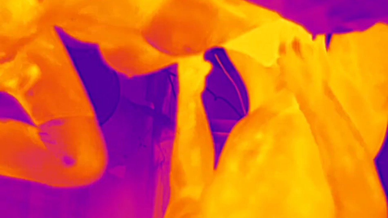 Thermal Camera Porn Redtube 8516