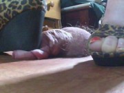 231lb BBW HARD WEDGE & VANS COCK & BALL CRUSH PT2 5/16