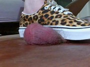 231lb BBW HARD WEDGE & VANS COCK & BALL CRUSH PT4 12/16