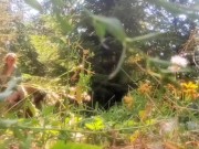 Beast Hunters -- The Beast Boy 3/16