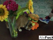 Gorgeous Big Tittied Blonde Playing In Her Cut Offs 16/16