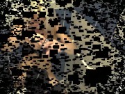 Lady Amber orders her house slave to lick her b pussy. 1/16