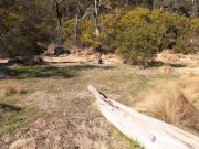 Outdoor Public Exhibitionists Doggy Style Fuck 1/16