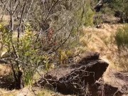 Outdoor Public Exhibitionists Doggy Style Fuck 8/16