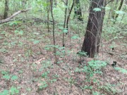 Красивая цыпочка попалась в лесу 12/16