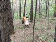 Красивая цыпочка попалась в лесу 3/16