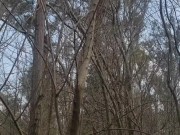 masturbation in the forest, blonde with big breasts outdoors 1/16