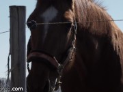 Horny Hunny Wants Her BF's Cock In Her Ass ASAP! 3/16