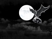 BANGBROS - Big Tits Black Babe Katt Garcia Riding Clint Northwood's Hard Wood 14/16