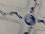 Cuckold clean girlfriend pussy after sex with stranger on the beach. Creampie 1/16