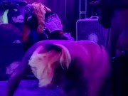 Give me that BBC 14/16