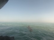 Nadando en el océano Atlántico en Cuba 2 14/16