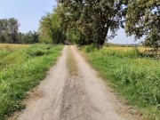 Ladymuffin And Tommy A Canaglia are jogging 10/16