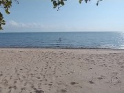 what the hell is he doing? caught a hottie on a public beach 2/16