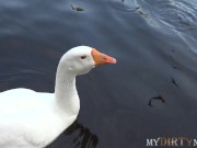 MyDirtyNovels - Brunette tempted into group sex with neighbor and his wife 1/16