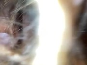 Toxic lover sucks Phat clit after huge fight 4/16