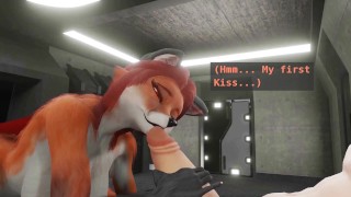 Human And Furry