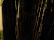 HOTTEST HALLOWEEN EVER - Intense Outdoor Fuck & Perfect Big Load Creampie in a Cornfield 1/16