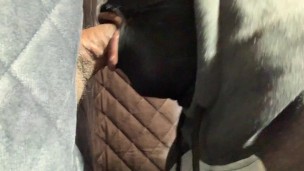 bf blue picture Straight guy pulls up to the Gloryhole