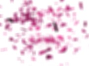 Girlsrimming - Dripping rimjob with amazing Jennifer White 14/16