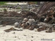 Private Black - Jessica Fiorentino Gets Wrecked In Interracial Threesome! 3/16