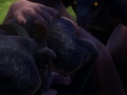 Furry gangbang | wild life | 2 9/16