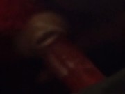 My special pink puppy  14/16