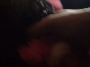 My special pink puppy  8/16