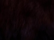 Furry gangbang | double anal and cunnilingus | wild life 14/16