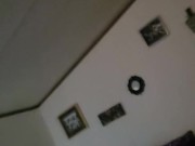 Cuc get dick sucked while bull pounds it 2/16