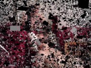 joschi alias human ashtray 1/16