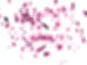 GIRLSRIMMING - Outdoor rimjob and anal action by hot blonde 15/16