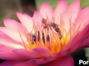 The___Good,___The___Bad,___and___The___Please___Watch___I___Need___To___Pay___My___Bills 4/16