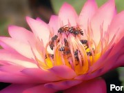 The___Good,___The___Bad,___and___The___Please___Watch___I___Need___To___Pay___My___Bills 6/16