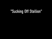 Sexy Latina Babe! HUGE Tits Hottie Angelina Castro Is The Boobjob Queen! 1/16