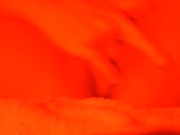 Finger Sofia's Pussy Endlessly Till She Cums 2/16