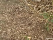 Pretty girlfriend jerking and sucking a cock outside in public 11/16