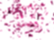 Girlsrimming - Hot Anal Sex Rimjob by Big Titted Blonde 15/16