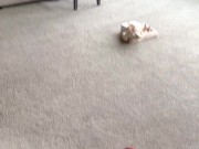 NFT Worthy CREAMPIES!!! 1/16