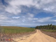 We Were Passing by a Cliff and We Decided to Record a Scene - Dread Hot 1/16