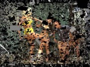 blondie and asians kick him in nuts 1/16