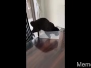 Trechos de Foda com uma Produtora de Conteúdo 14/16