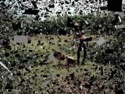 Lady Shakira humiliate her sub outdoor with earth. 1/16