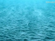 Enjoy thick chicks underwater lesbians 1/16