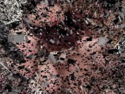 dominant blowjob 62 1/16