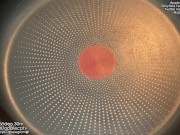 My Roommate 1 First Encounter 16/16